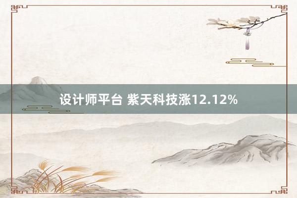 设计师平台 紫天科技涨12.12%